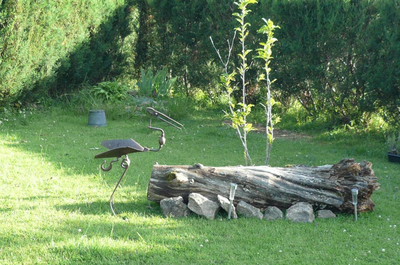 Le Petit Papillon Bed and Breakfast Eymoutiers  Exteriör bild